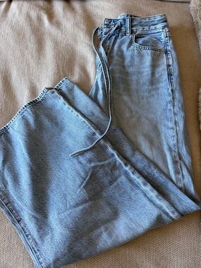 Madewell 24 super curvy wide leg